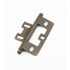 Hinges Hinge Non-Mortise (1100B-ALB) in Antique Light Brass by Schaub & Company